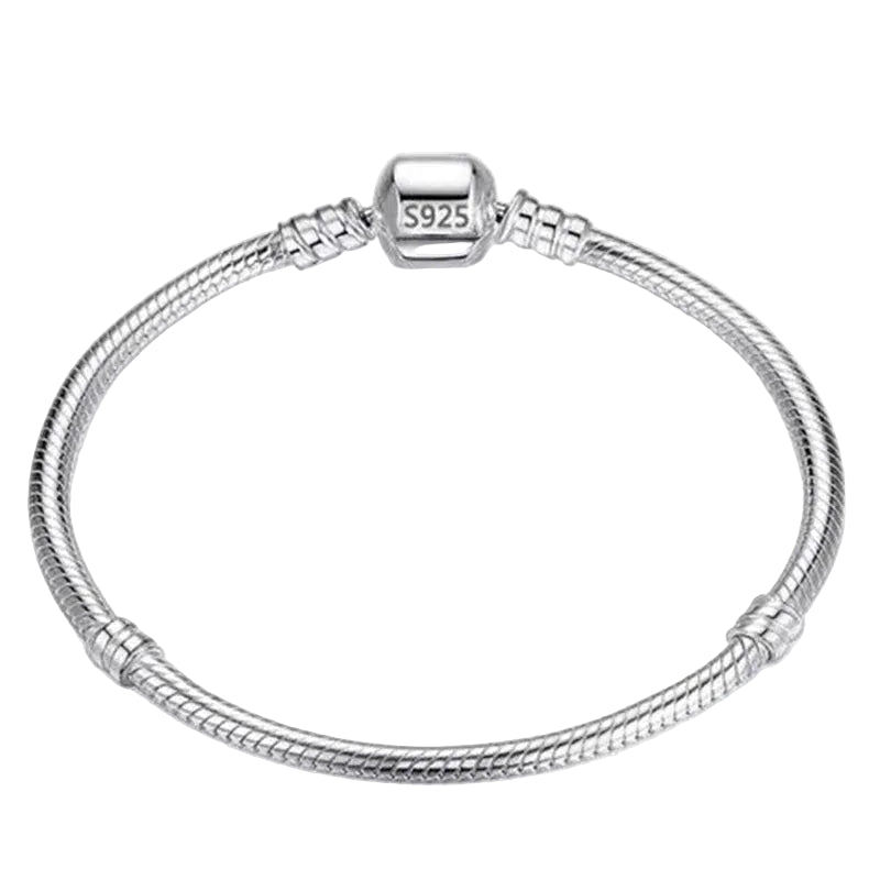 Silver Dream Charm Bracelet